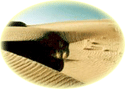 tour and travel to Iran tourism agency trip