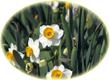 Iran travel tourism tour agency