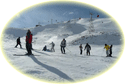 tour and travel to Iran tourism agency trip