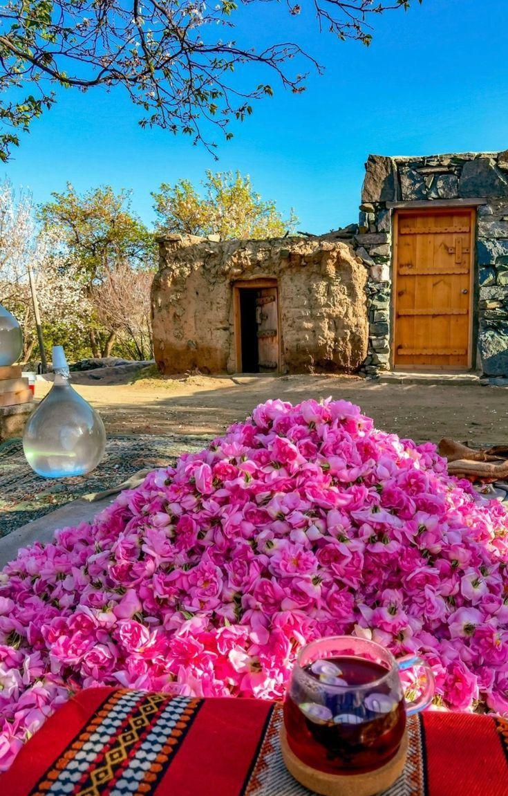 Golab (Rose Water) Distillation in Meimand