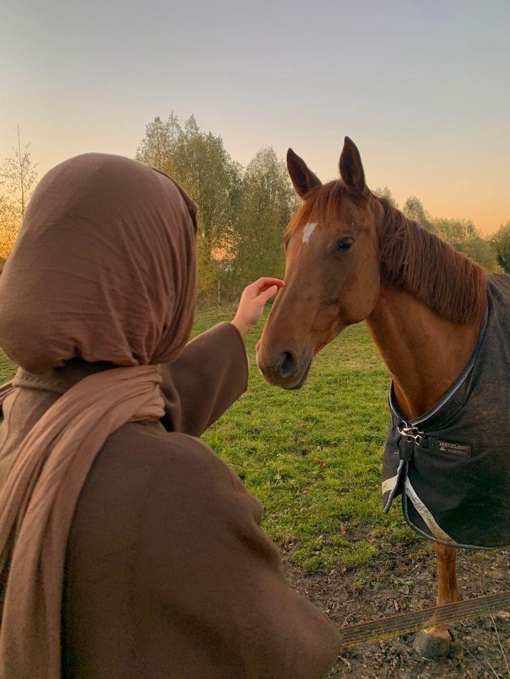 Horse riding in Haft-Barm