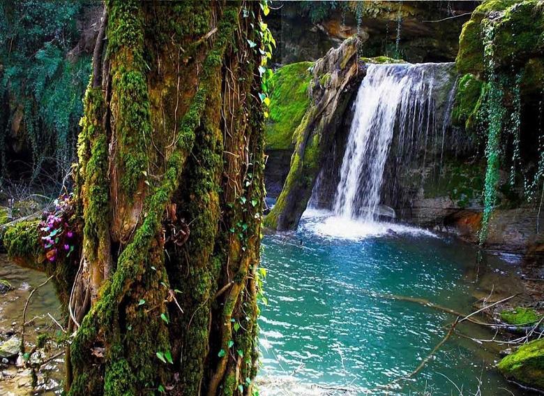 Lost Paradise (Behesht-e Gom Shodeh)