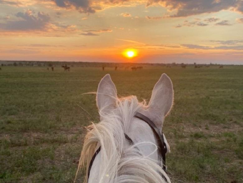 Horse Riding & Boating