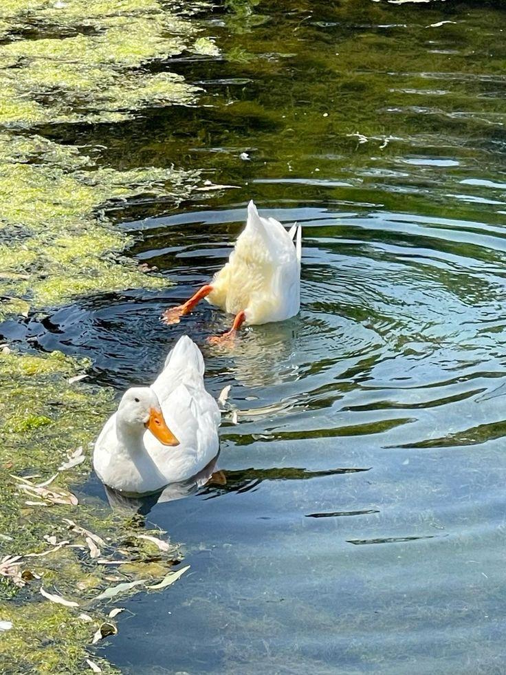 Lake Tours in Fars Province