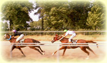 Bamu Protected Region Horse Riding Tour