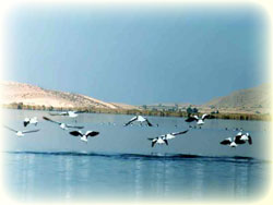 Parishan and arjan lake-travel