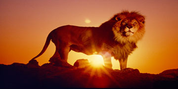 Iran Tour - Iran Tour Operator