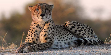Iran Tour - Iran Tour Operator