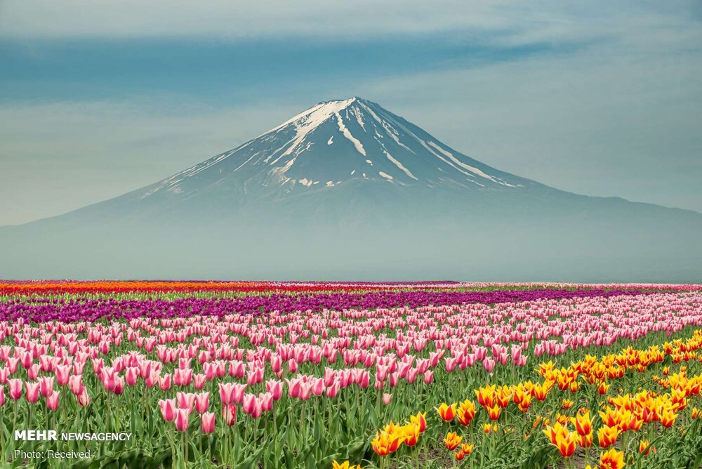 Frühling im Iran