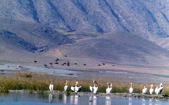 https://en.key2persia.com/contact-us