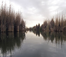 iran_shiraz_parishan_lake