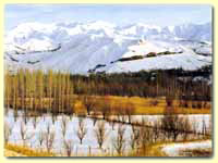 Trekking Across Taleghan Valley